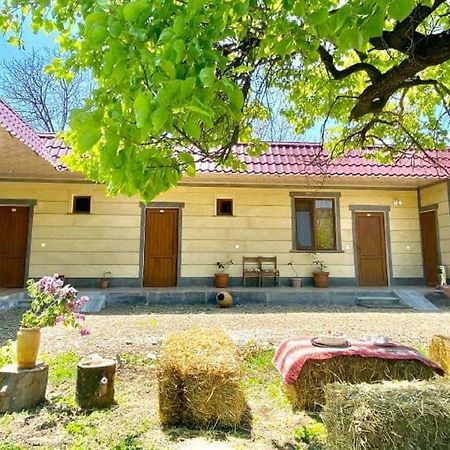 Aghasu Tun B&B Odzun Dış mekan fotoğraf