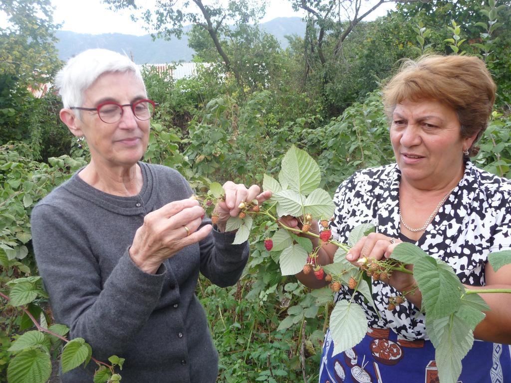 Aghasu Tun B&B Odzun Dış mekan fotoğraf