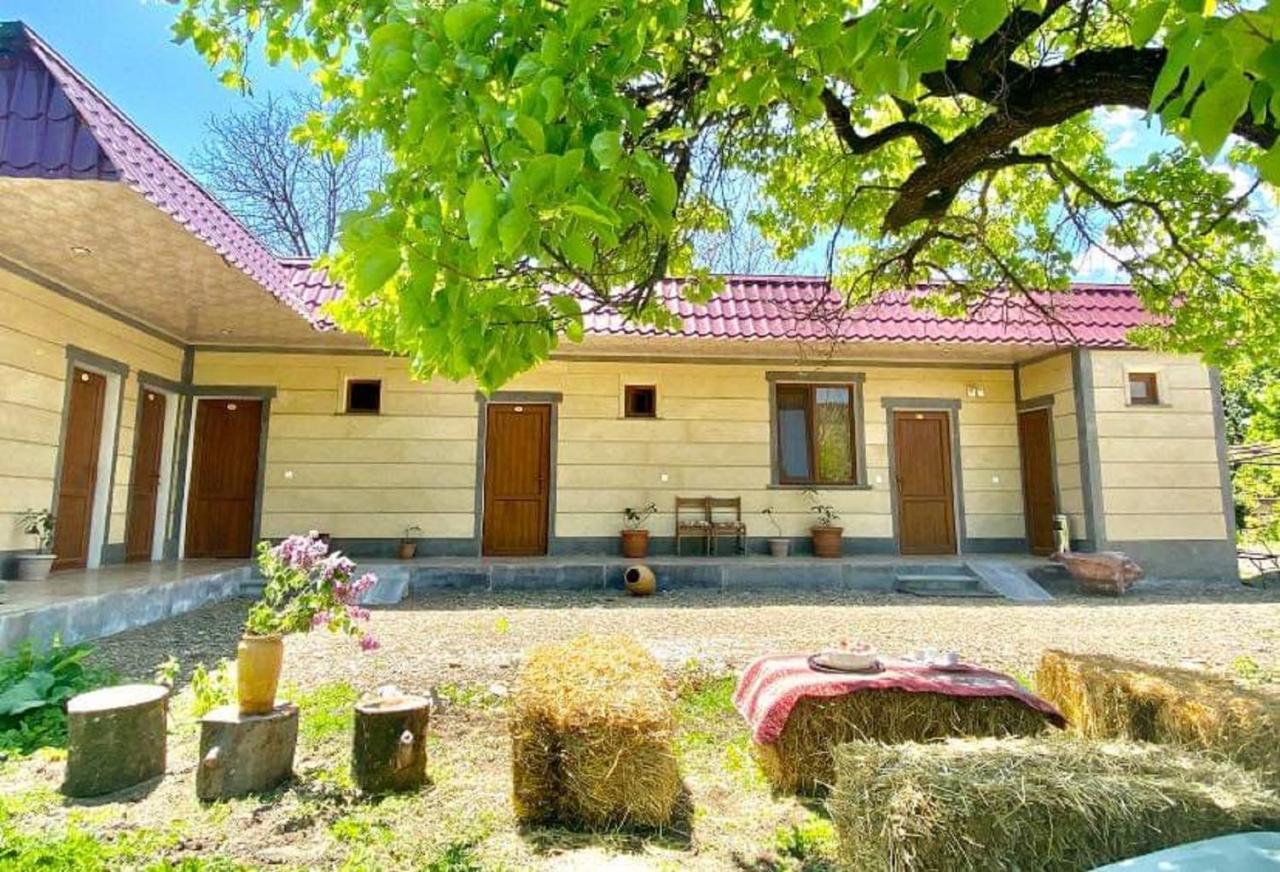 Aghasu Tun B&B Odzun Dış mekan fotoğraf