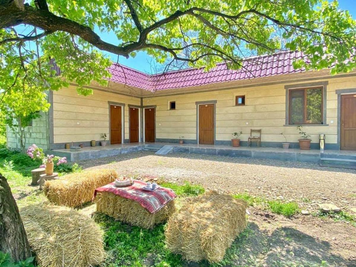 Aghasu Tun B&B Odzun Dış mekan fotoğraf